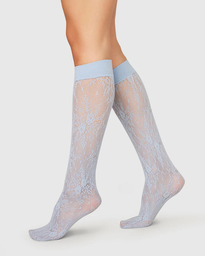 Rosa Lace Knee-High Dusty Blue