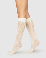 Rosa Lace Knee-High Ivory